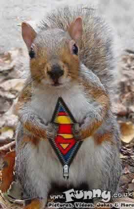 super squirrel
