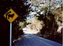 road13