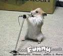 singing